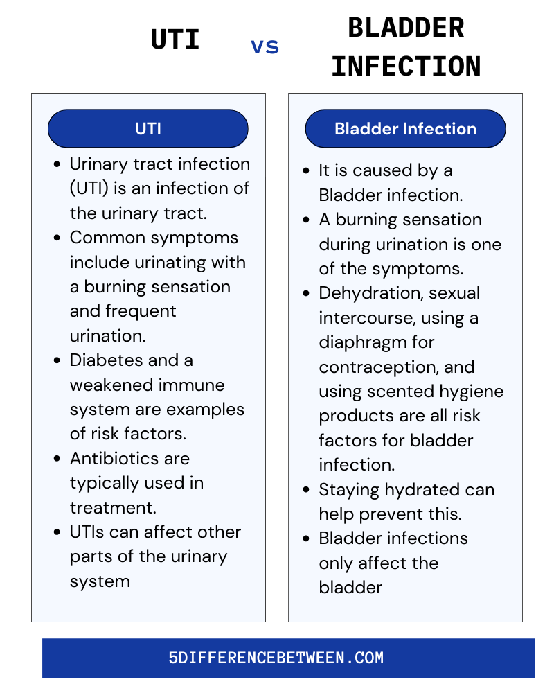 UTI and Bladder Infection