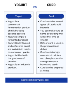 5 Difference Between Yogurt And Curd | Yogurt Vs Curd