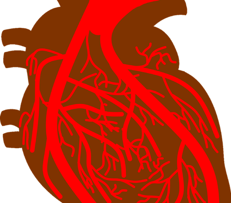Arteries and Veins