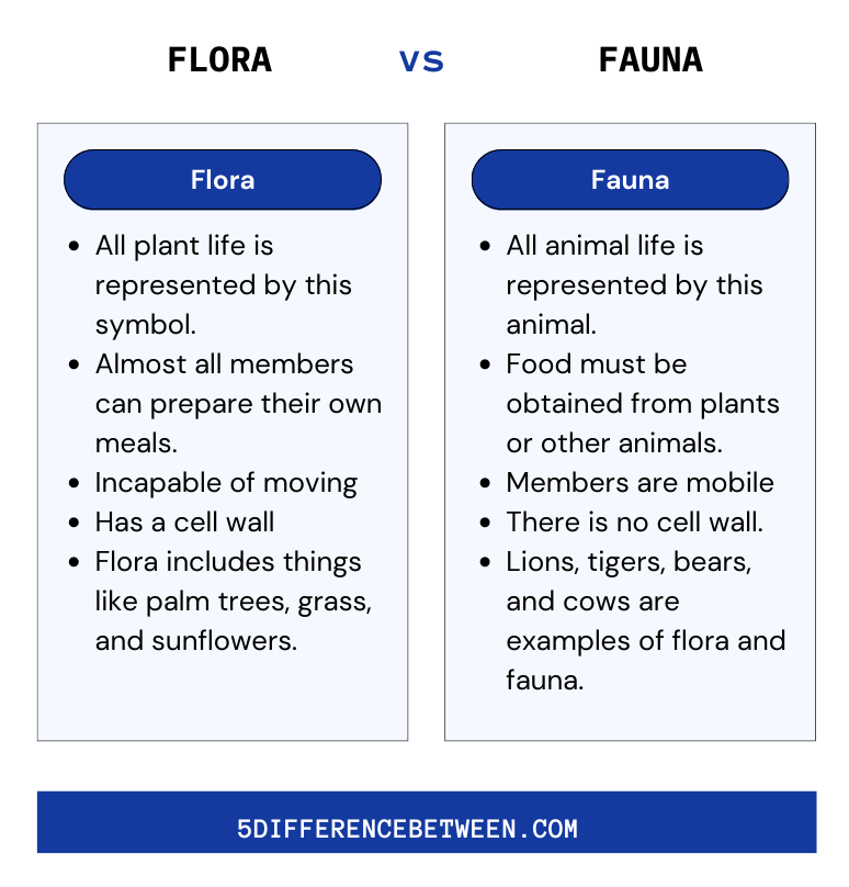 5 Difference Between Flora and Fauna | Flora vs Fauna
