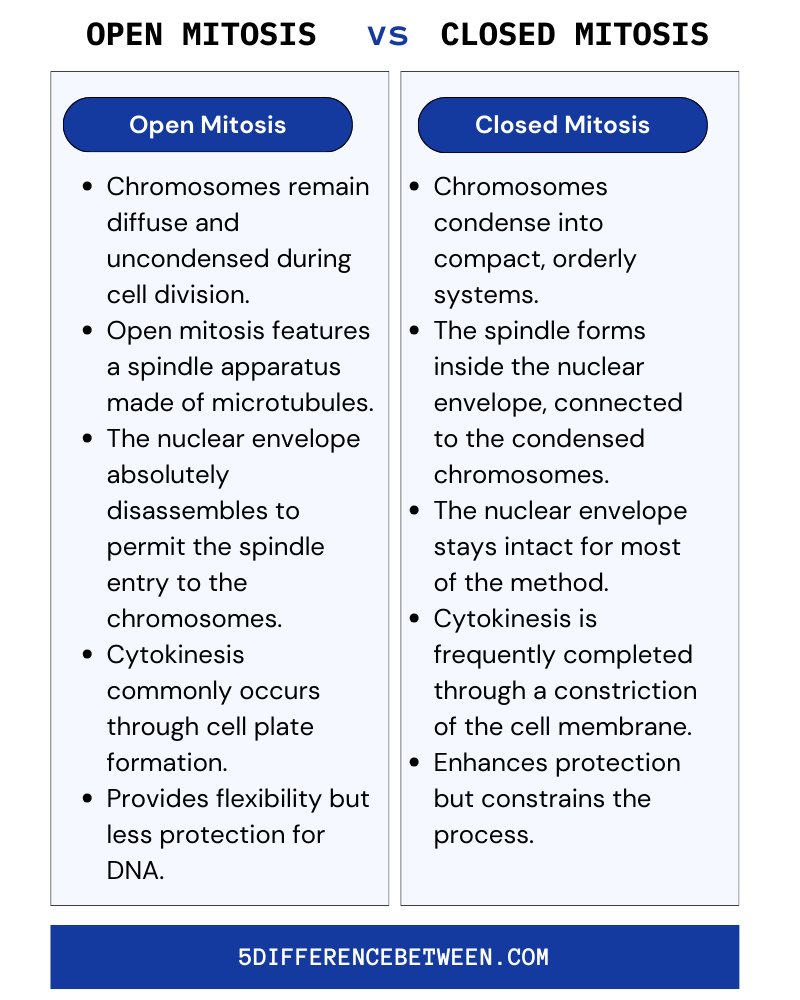 Open Mitosis Vs Closed Mitosis